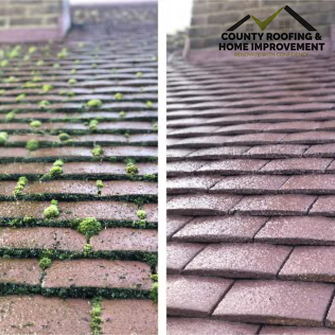 Roofer: Image 5